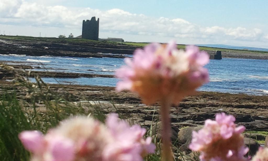 Bed and Breakfast Ocean Sound Easkey Exteriér fotografie